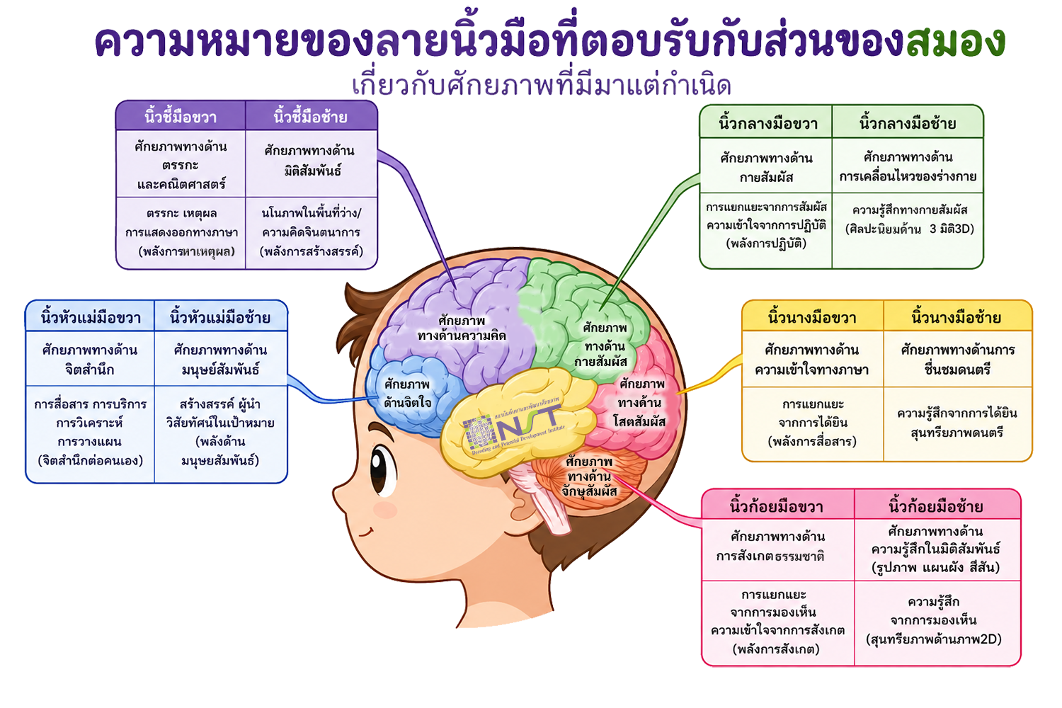 ตัวอย่างหน้าสมองในรายงาน